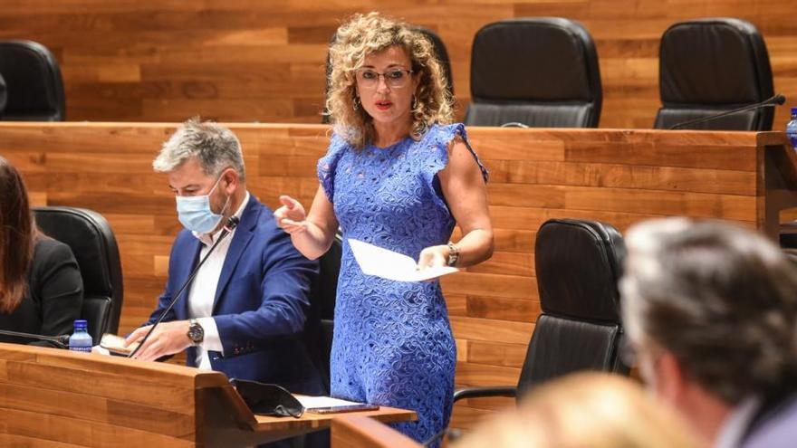 La diputada de Cs Susana Fernández.