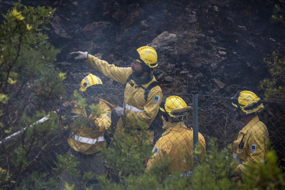 Alarma por un incendio forestal junto a la autopista de Llucmajor