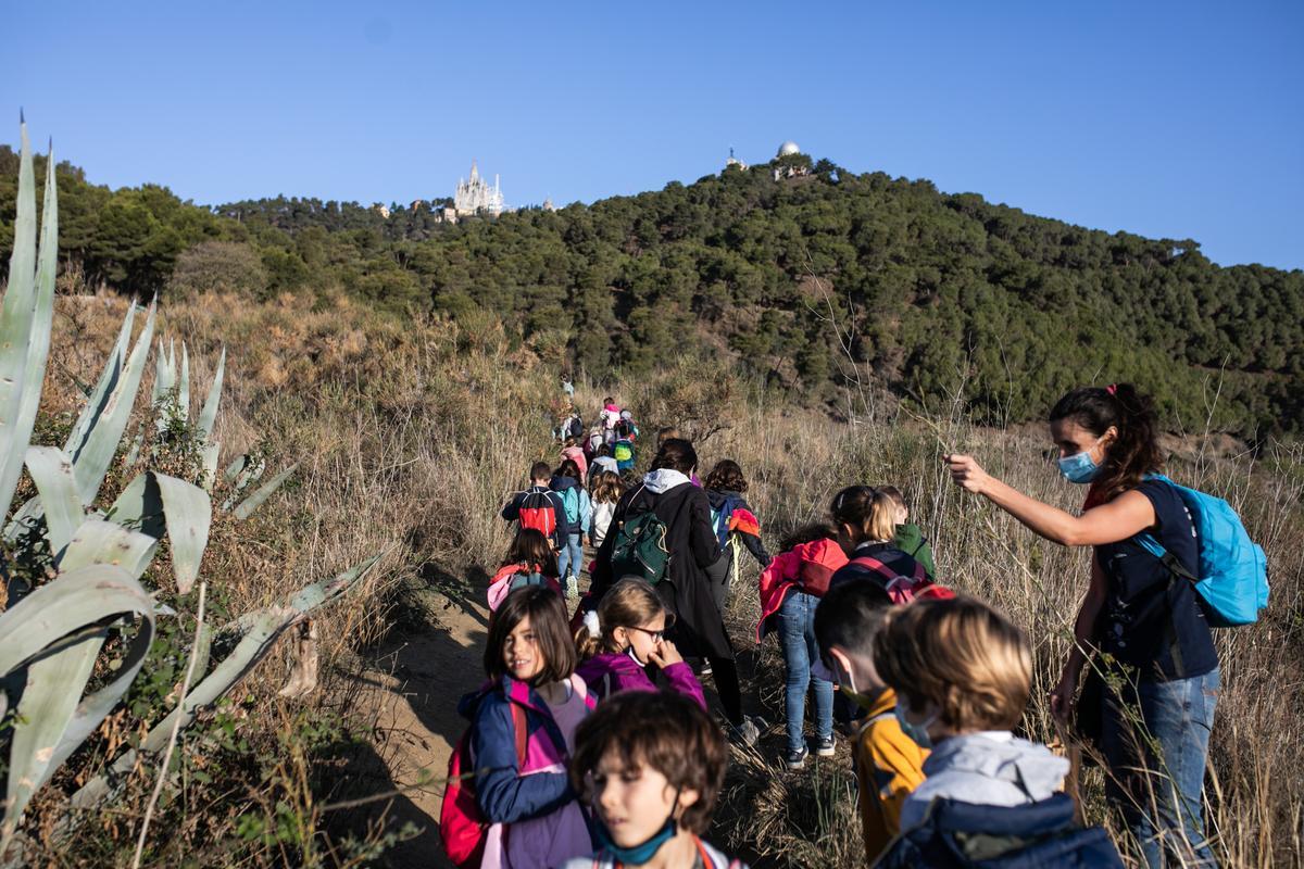 La profesora Begoña Vendrell y alumnos de segundo de primaria del colegio Sant Gregori, en pleno prado sabanoide, uno de los tesoros de Collserola.