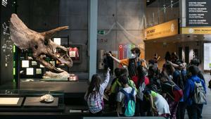 Un grupo de alumnos visita CosmoCaica de Barcelona y se detiene frente al colosal cráneo de un triceratops.