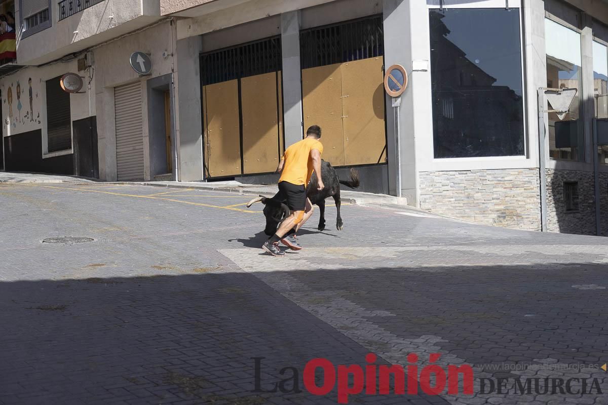 Cuarto encierro en las Fiestas de Moratalla