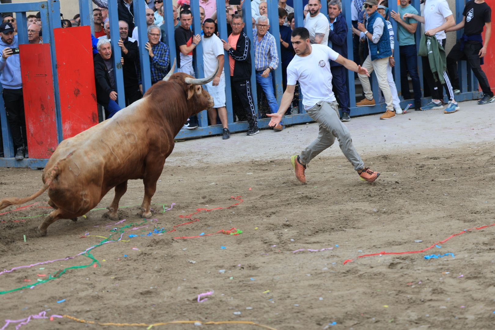 Fotos de la tarde taurina del jueves de las fiestas de Sant Pasqual en Vila-real