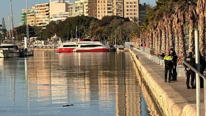 Aparece un cadáver flotando en el Puerto de Alicante