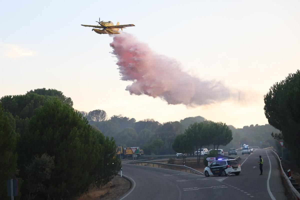 Nuevo incendio forestal en Cerro Muriano, en imágenes