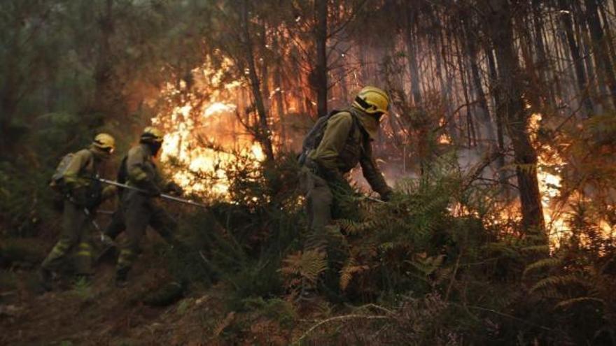 Estas son las imágenes de la ruta del terror incendiario en Galicia