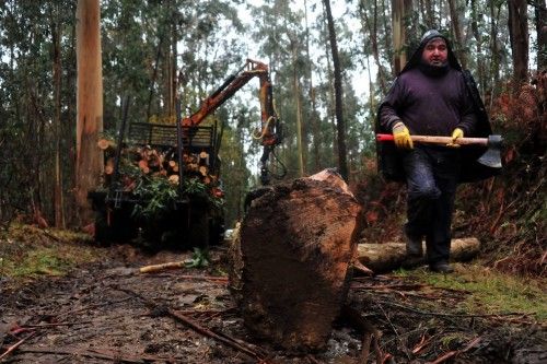 Construcción de una batea en Arousa