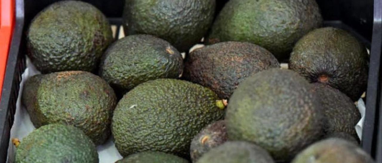 Varios aguacates intervenidos en un robo anterior en Tenerife.