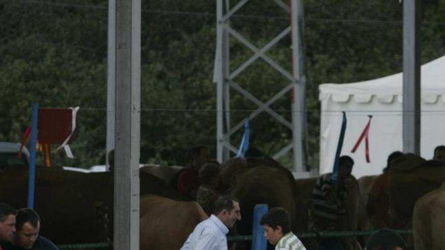 Último día del Concurso regional de ganado