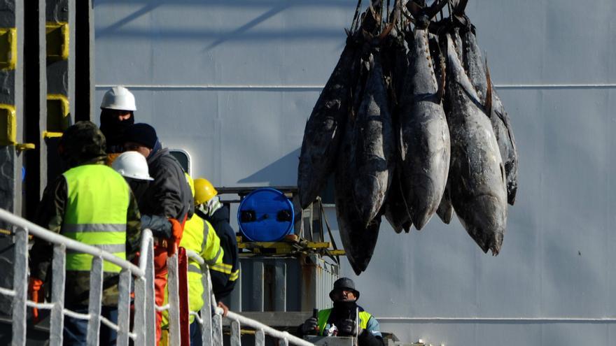 El veto a la pesca de fondo, un impacto de 816 millones
