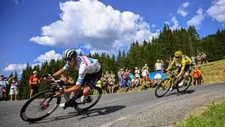 ¿Cuánto valen las bicis del Tour de Francia 2024?