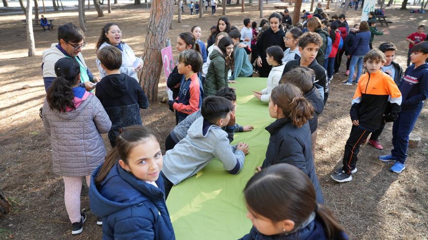 FOTOGALERÍA: Los escolares de Vila-real celebran el Día del Árbol en el paraje del Termet