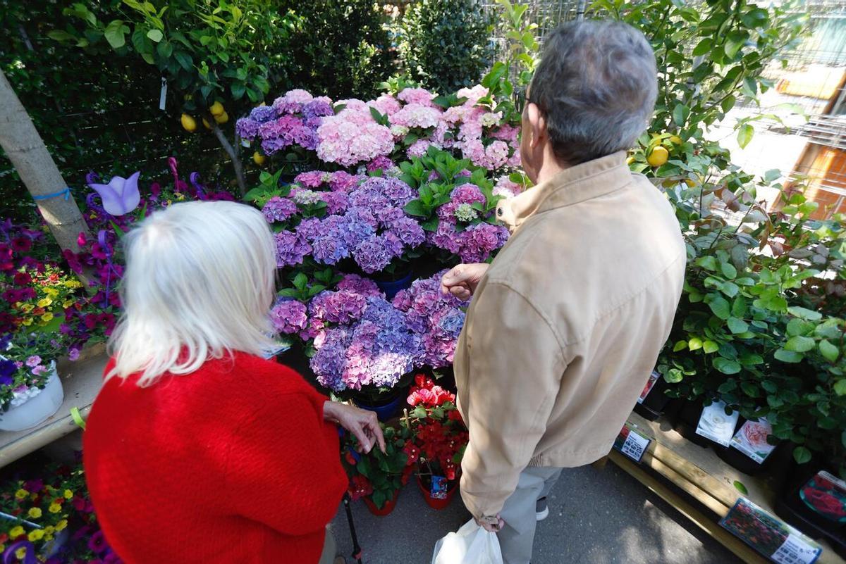 En imágenes | Presentación del Zaragoza Florece en el Parque Grande José Antonio Labordeta