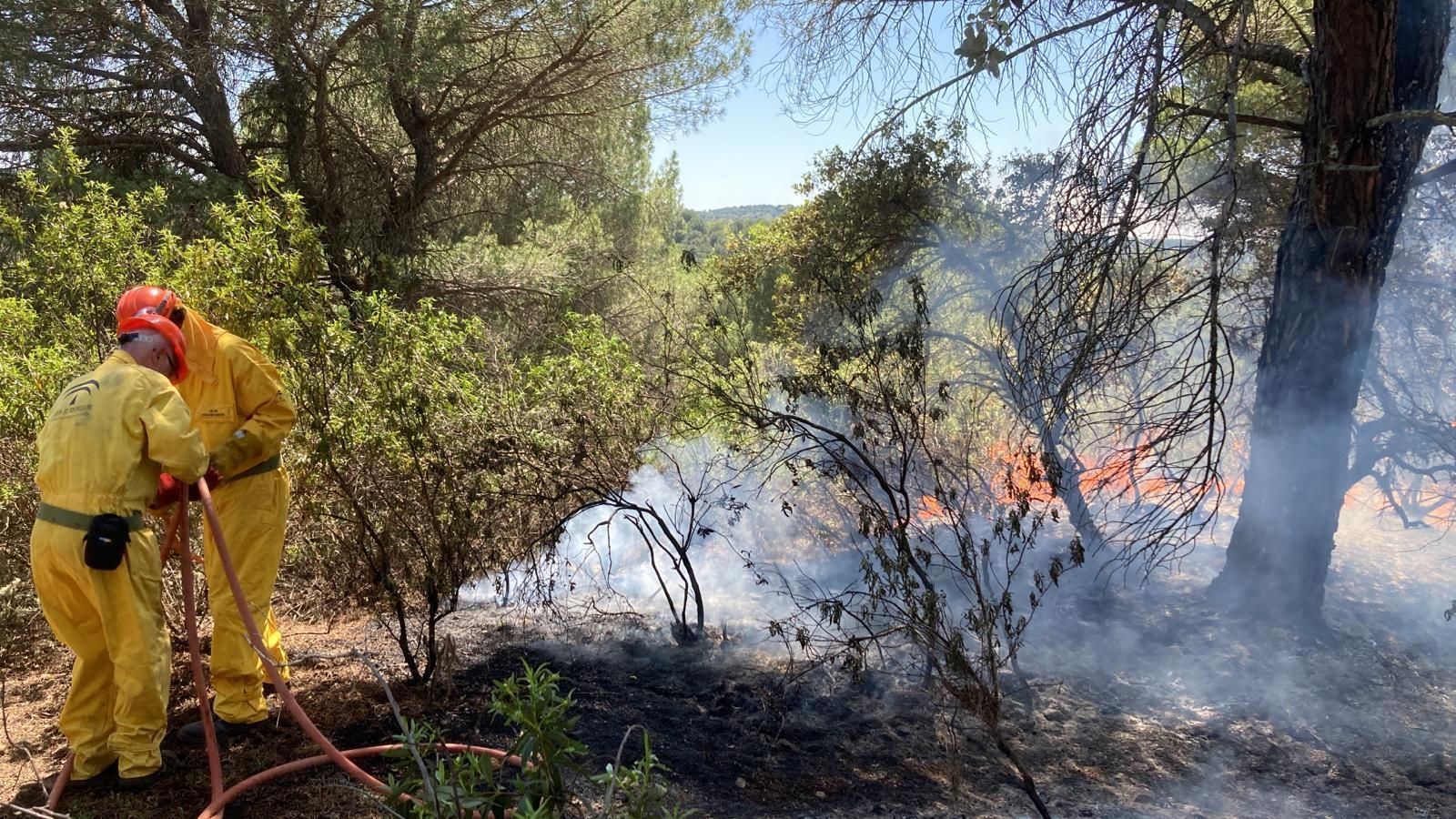 Grupo de Pronto Auxilio de las Siete Fincas: guardianes contra el fuego