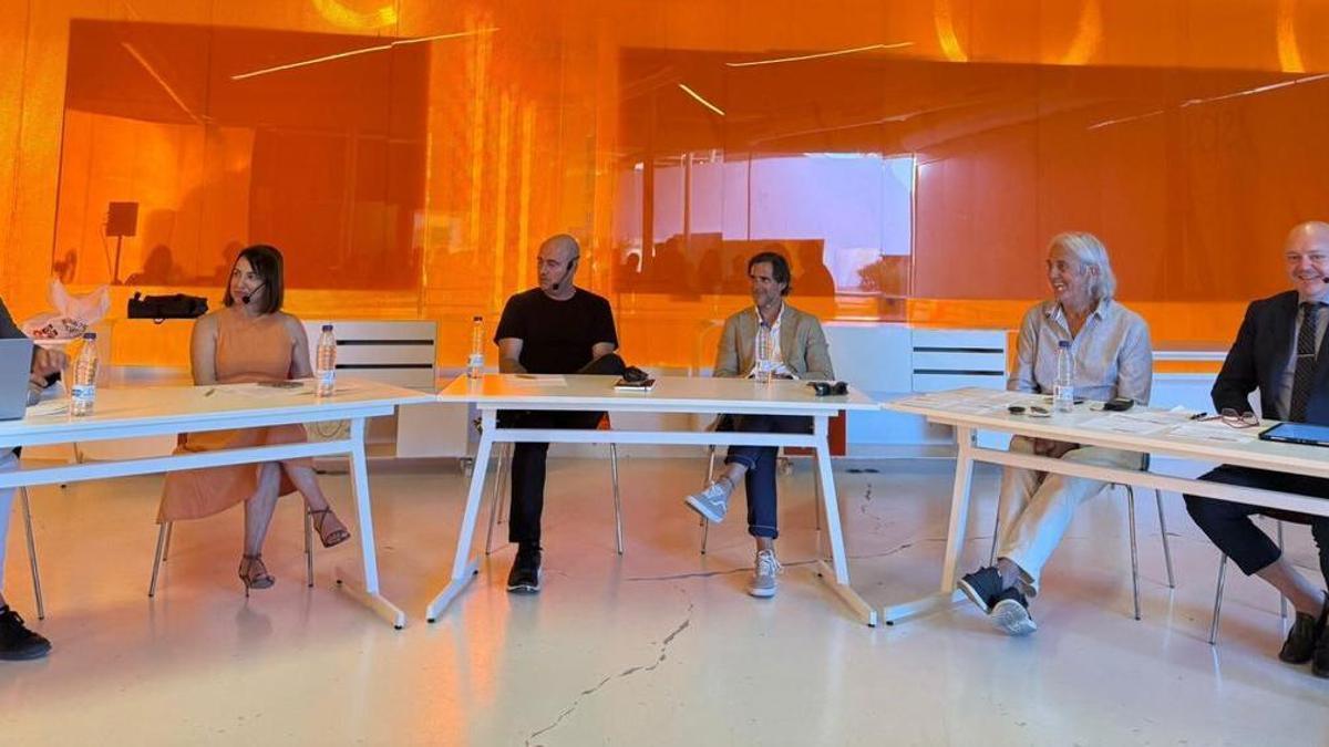 Ibiza's housing collapse under debate.