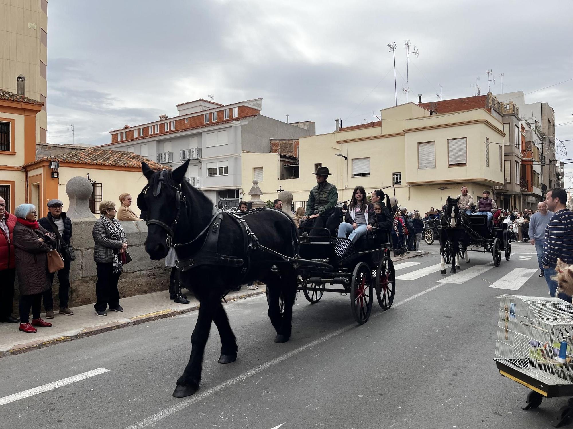 Imágenes del popular pasacalle de Sant Antoni de Nules