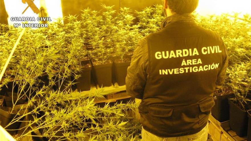 La Guardia Civil desmantela dos plantaciones de marihuana en Puente Genil