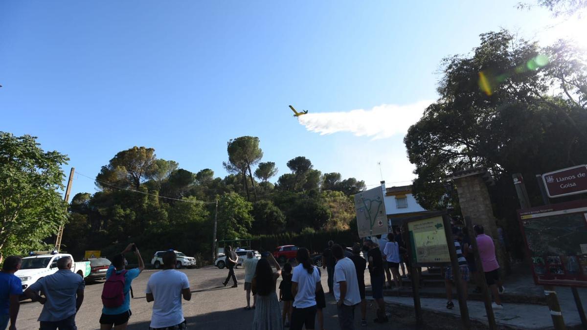 Incendio forestal en la barriada de Trassierra