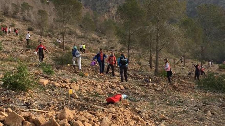 Mil árboles para reforestar la sierra de Redován