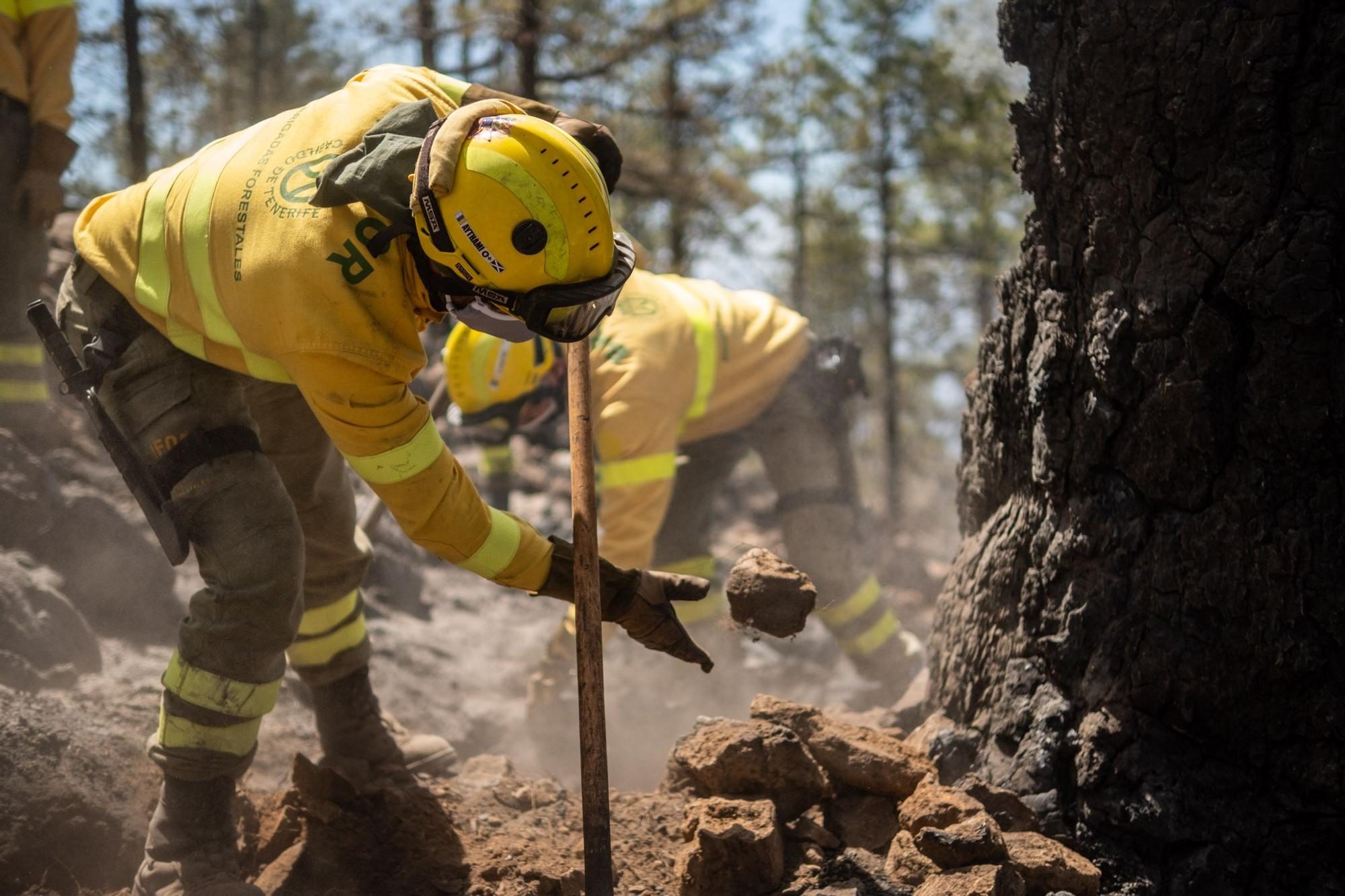 Dispositivo especial del Cabildo de Tenerife en el incendio de Arico