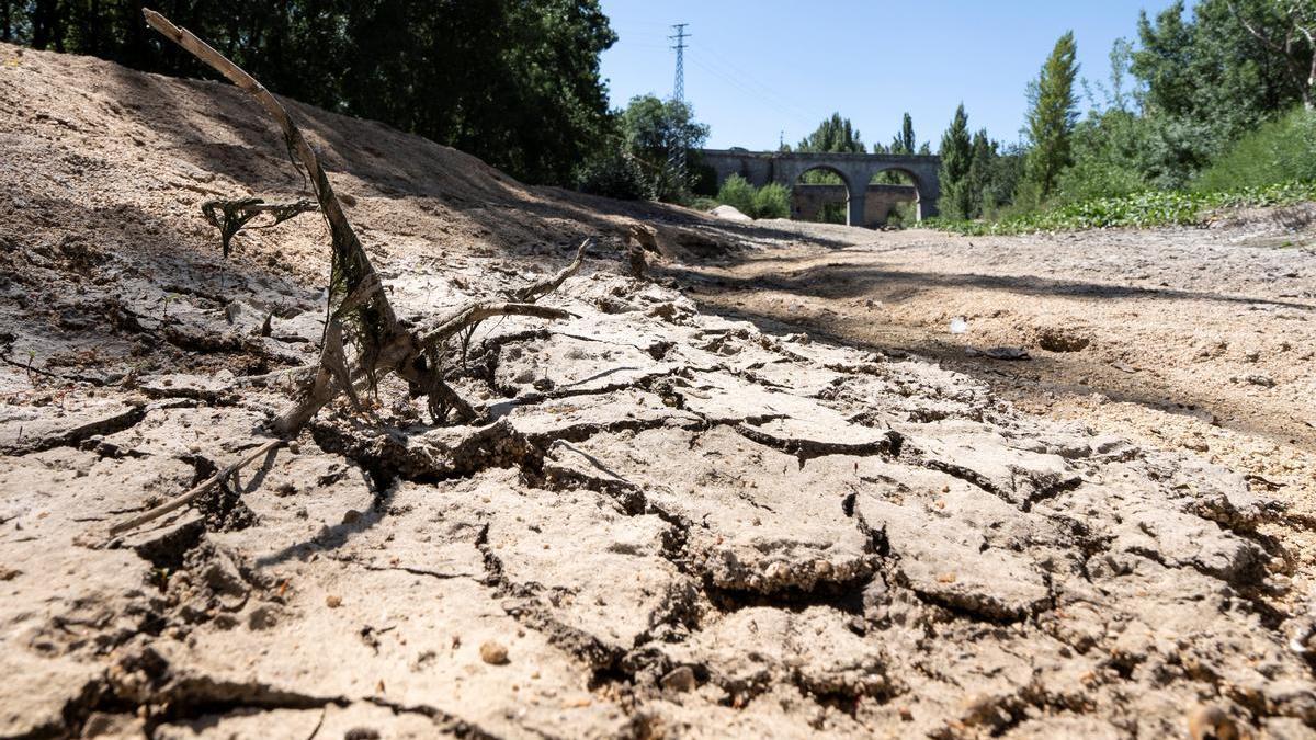 La polémica alerta de la Aemet: &quot;Sobre el fin de la sequía queremos indicar que...'