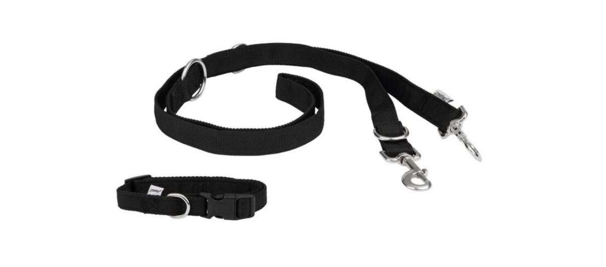 Mañana se esperan colas kilométricas en Lidl para conseguir la correr running para perro más barata del mercado: por solo 2,49 euros