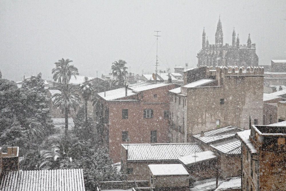 Cinco años de la gran nevada en Palma