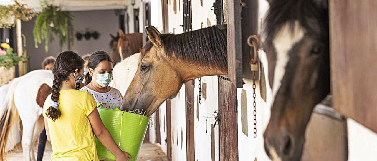 Dos jóvenes amazonas dan de comer a uno de los caballos. | | FUSELLI