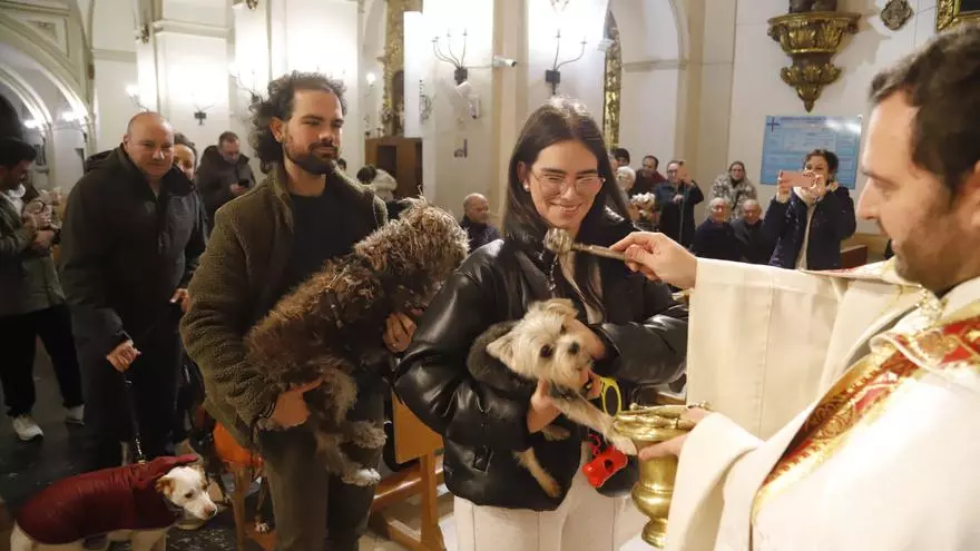Bendición de mascotas por San Antón