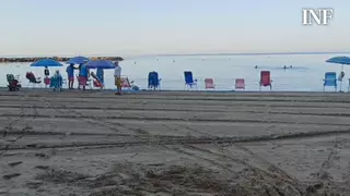 Sombrillas al alba: la peculiar “carrera” por conquistar un sitio en las playas de Torrevieja