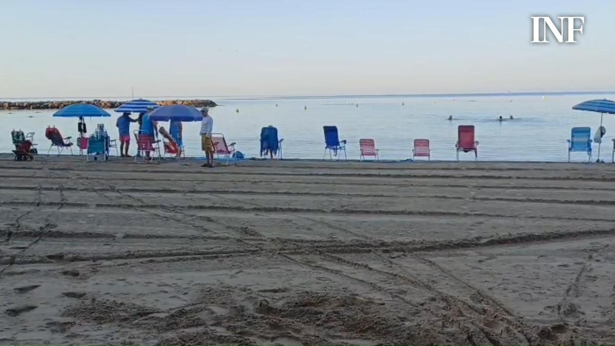 Los más madrugadores compiten por clavar la primera sombrilla en las playas de Torrevieja, el verano pasado.