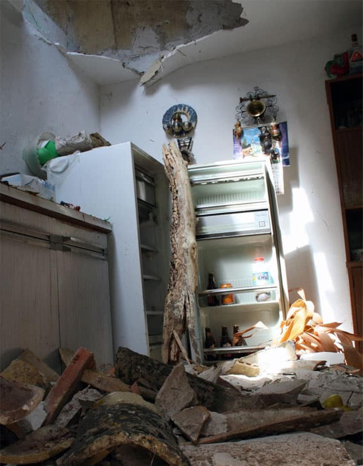 Anticimex trató 455 viviendas afectadas por las termitas