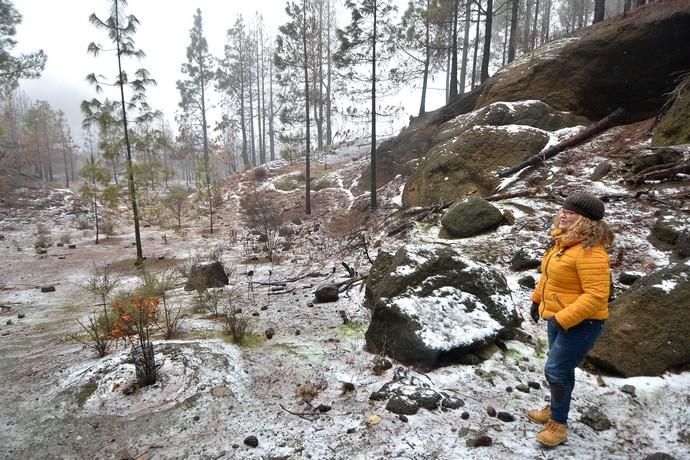 NIEVE CUMBRE GRAN CANARIA