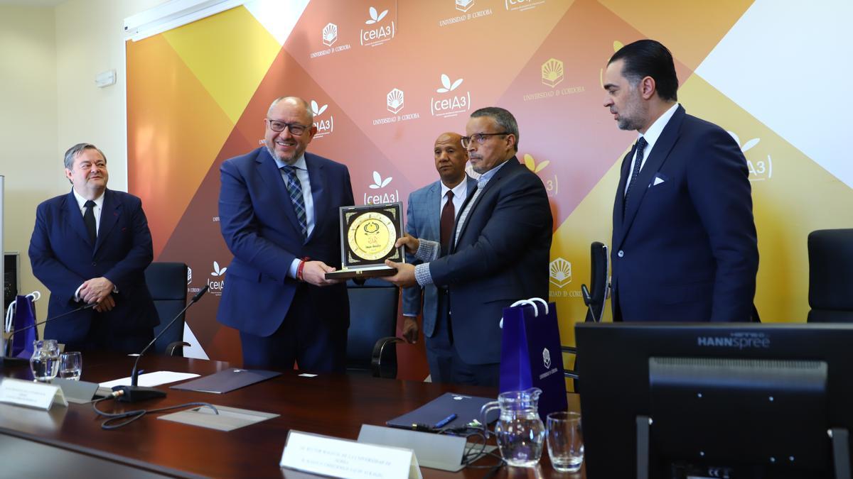 Los rectores de la Universidad de Córdoba y de la de Sebha, junto al embajador español en Libia y el embajador libio en España, tras la firma del convenio.