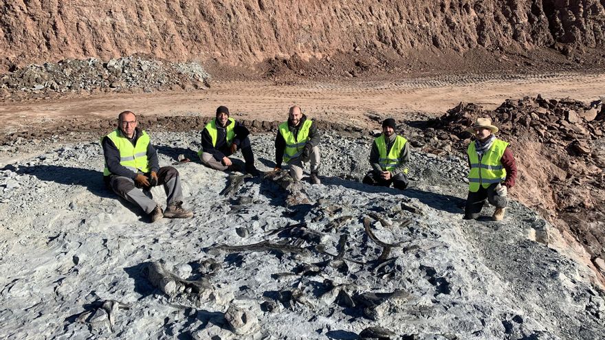 Hallan nuevos restos de dinosaurio en las minas de arcilla de Morella