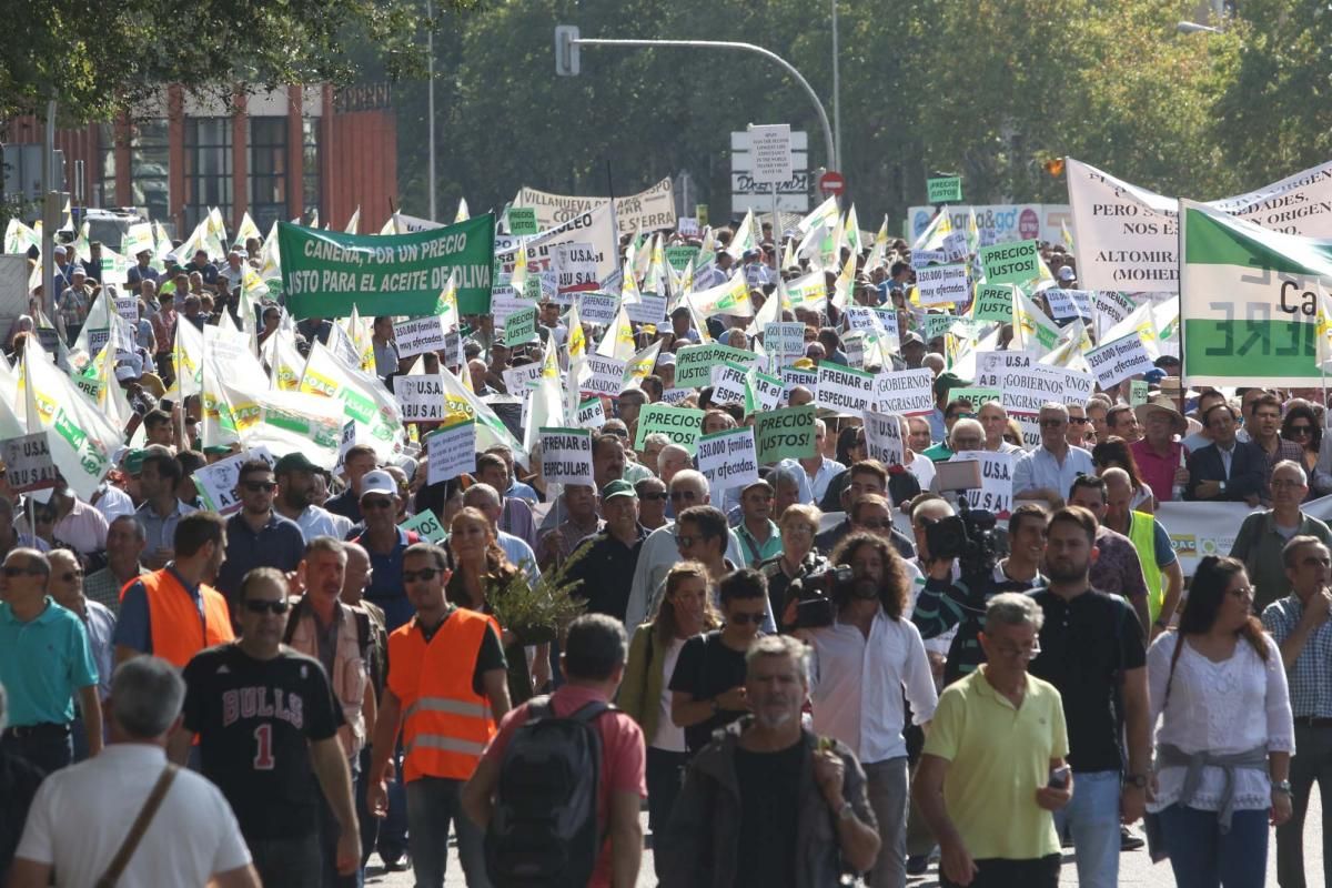 Córdoba se suma a la gran manifestación del olivar en Madrid