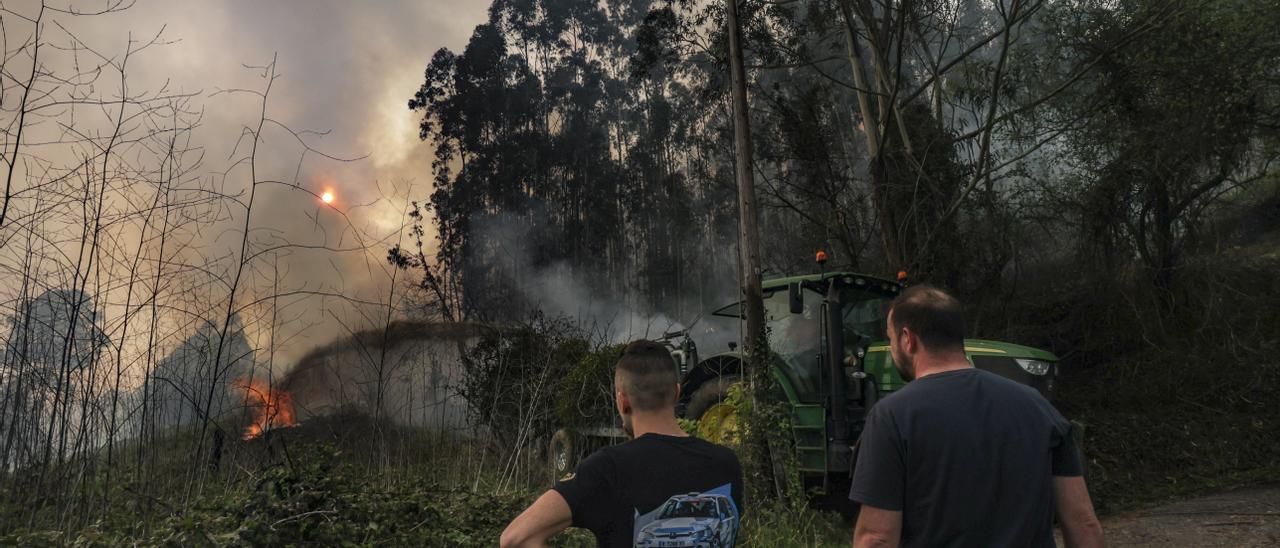 Los vecinos salvan con las cubas los pueblos asediados por un fuego  "dantesco" en Las Regueras y Candamo - La Nueva España