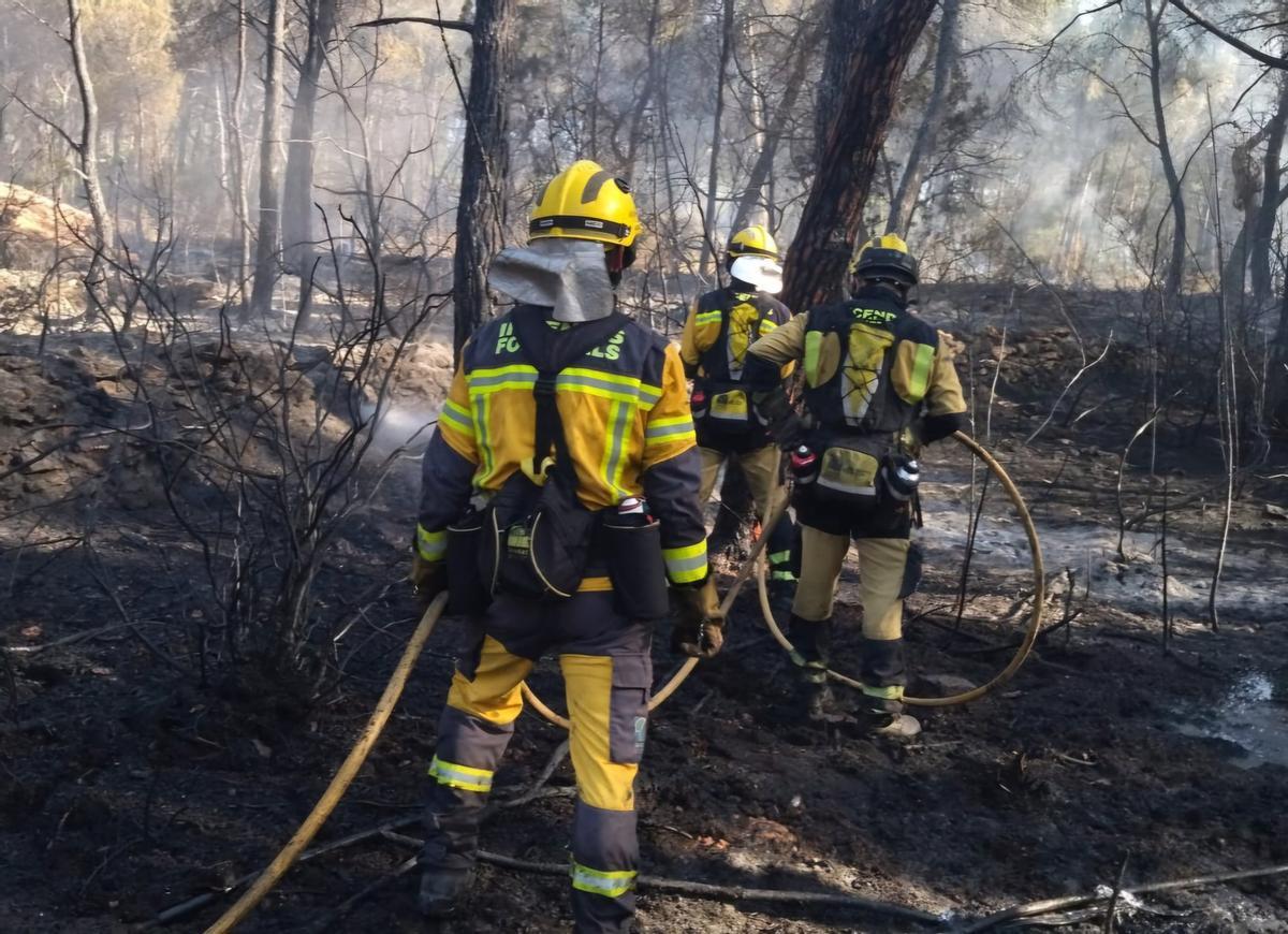 Bombers de Ibiza intentan estinguir el fuego en Santa Eulària.