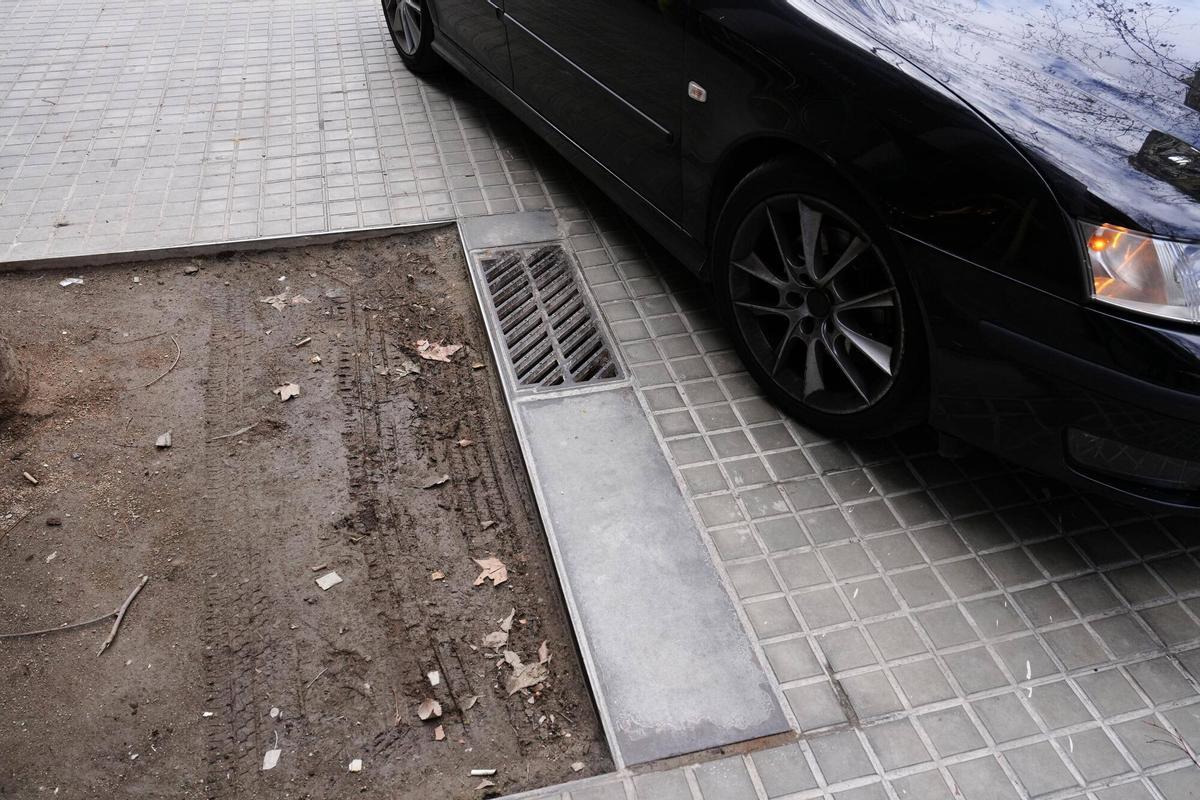 Un alcorque prensado por las ruedas de los coches.