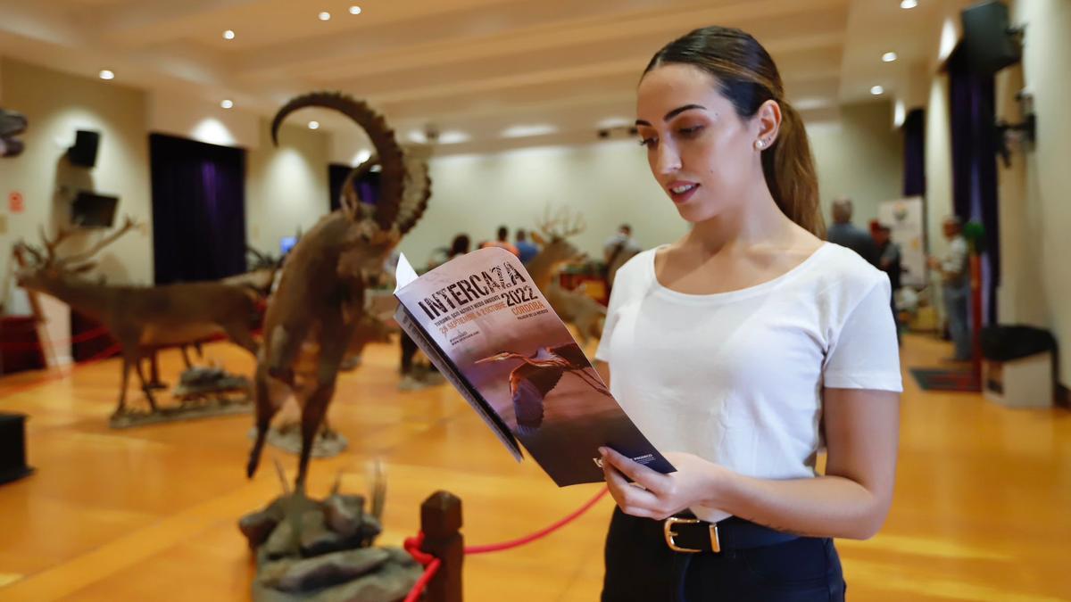 El Salón de Actos de la Diputación acoge una gran exposición de la colección de la taxidermia Mompiel.