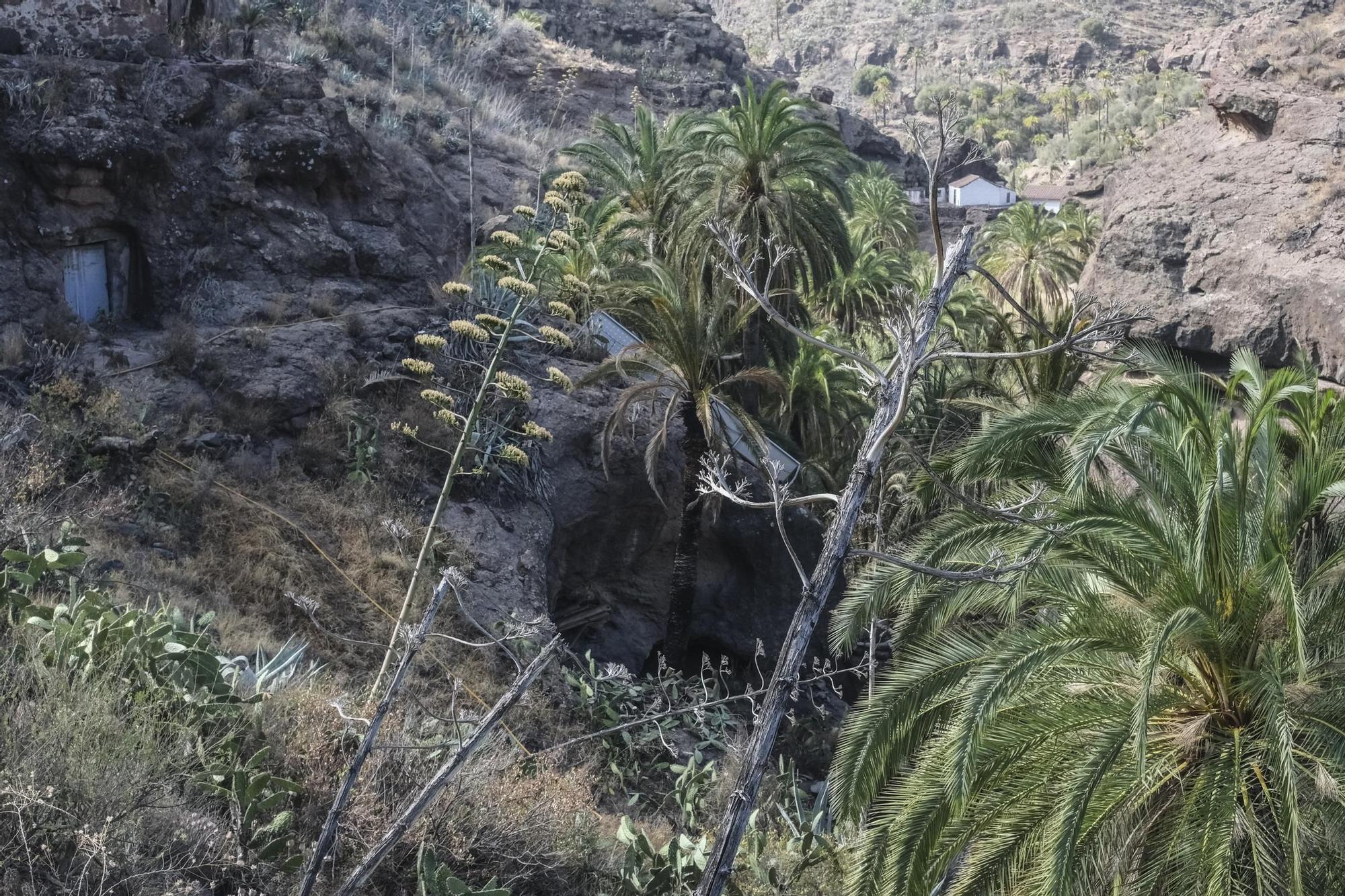 Incendio en Santa Lucía