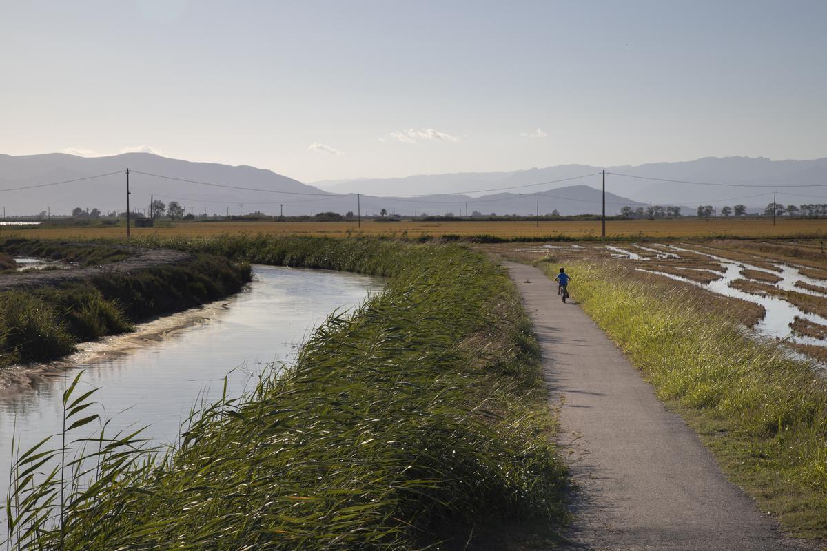 El ciclismo es una de las actividades que hacer en el Delta del Ebro