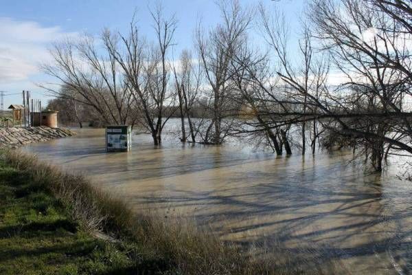 Fotogalería: Crecida en el río Ebro