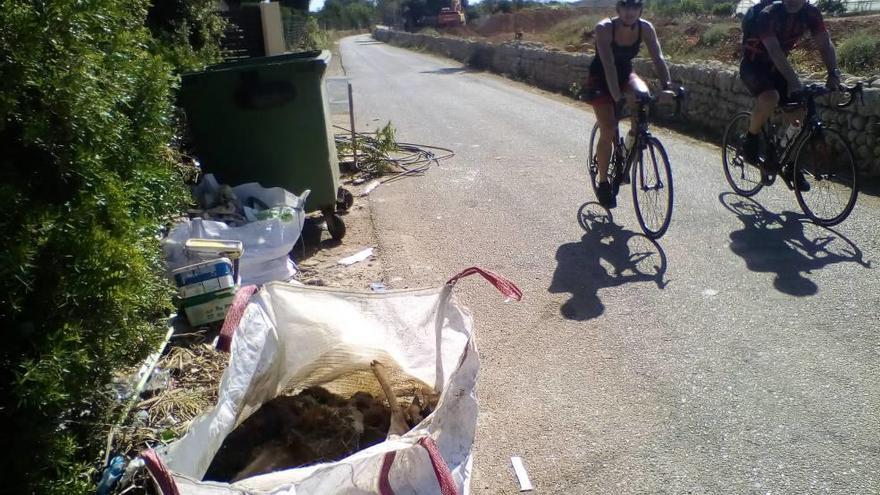 Varios ciclistas pasan junto a la saca con los dos animales muertos antes de la llegada del Seprona.