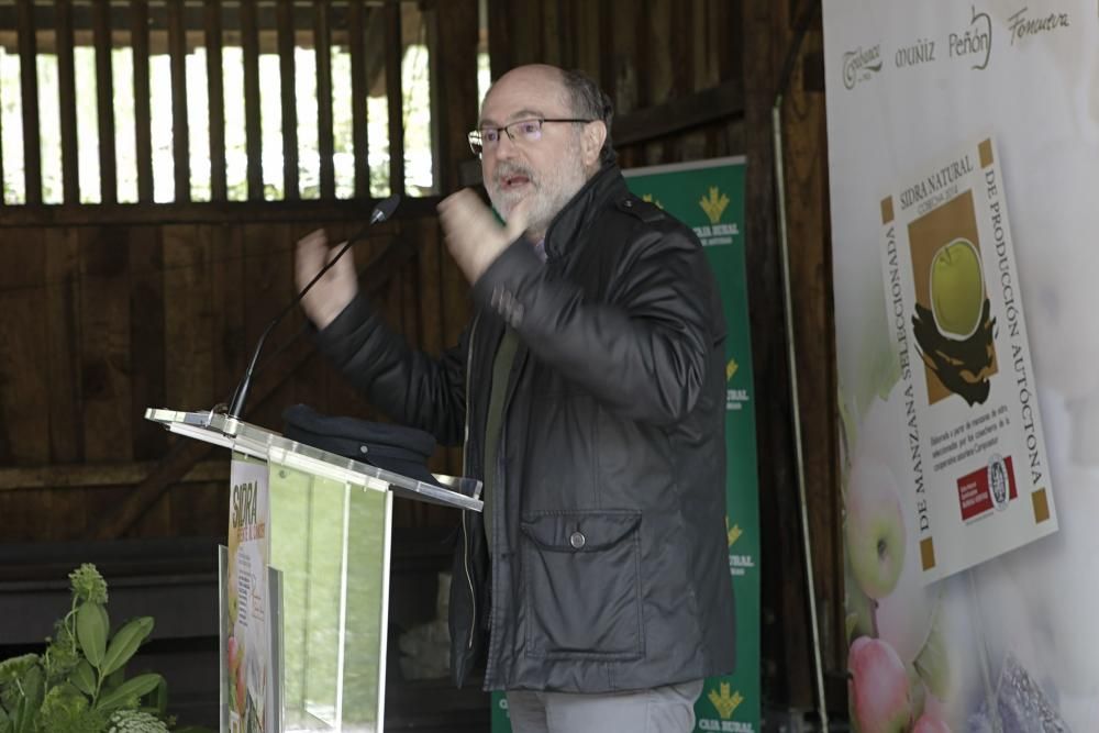 Presentación de la cosecha 2015 de sidra