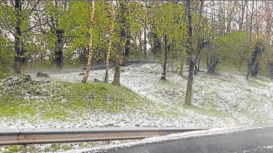 Aspecte de Can Blanch després de la pedregada