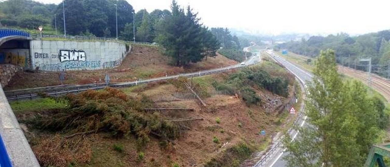 Árboles talados en la mediana de la A-66 bajo el puente de la Senda Verde.