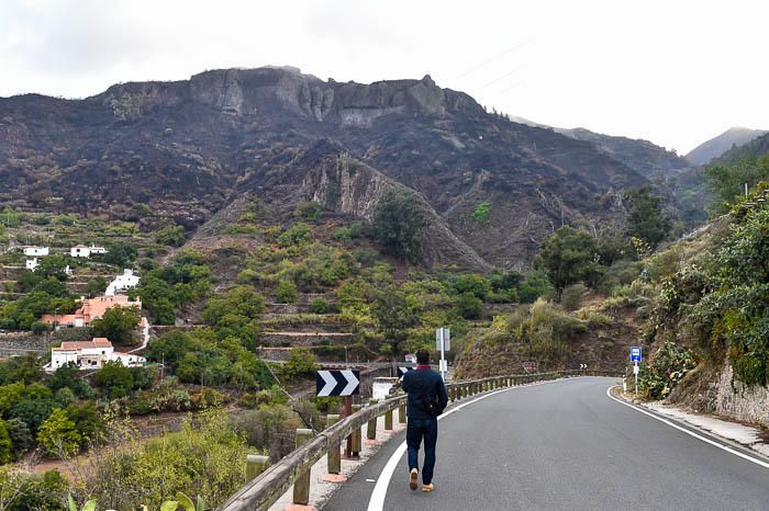 Vistas de las laderas del barranco de La Mina ...