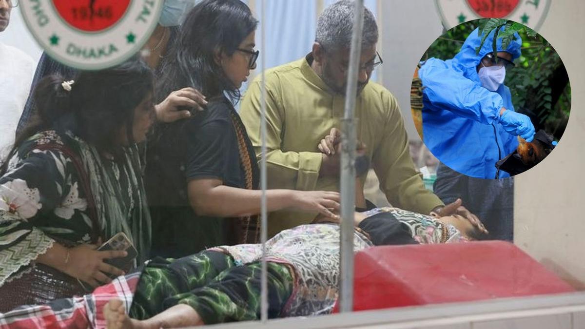 Así es el virus Nipah que ya afecta a la India