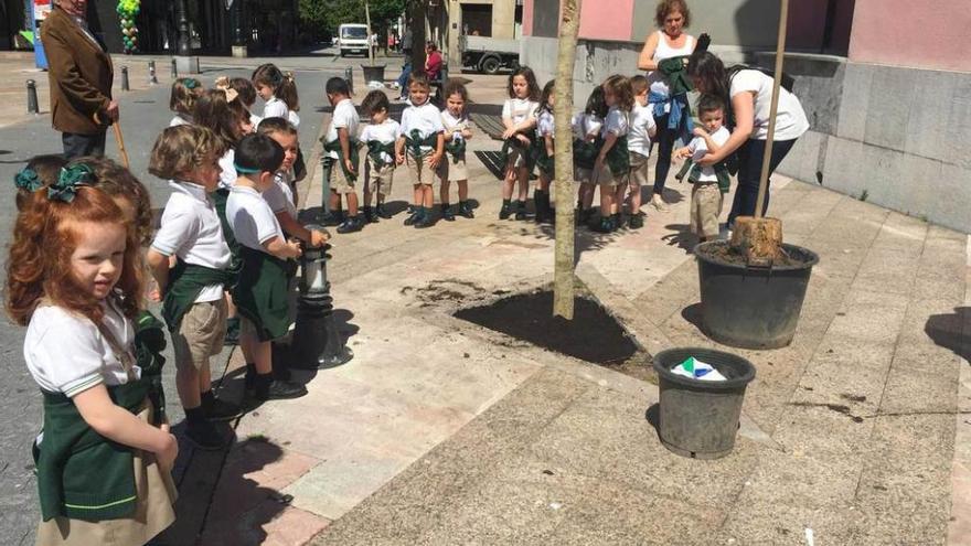 Escolares de Mieres plantan árboles &quot;para respirar mejor&quot;