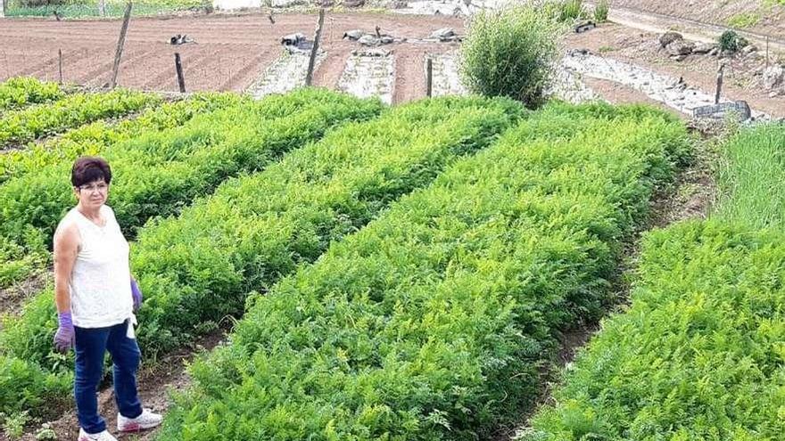 Flora Porto, &quot;vendedora da Carreira&quot;, despacha por Facebook las verduras que planta en su huerto de Areas. // D.P.